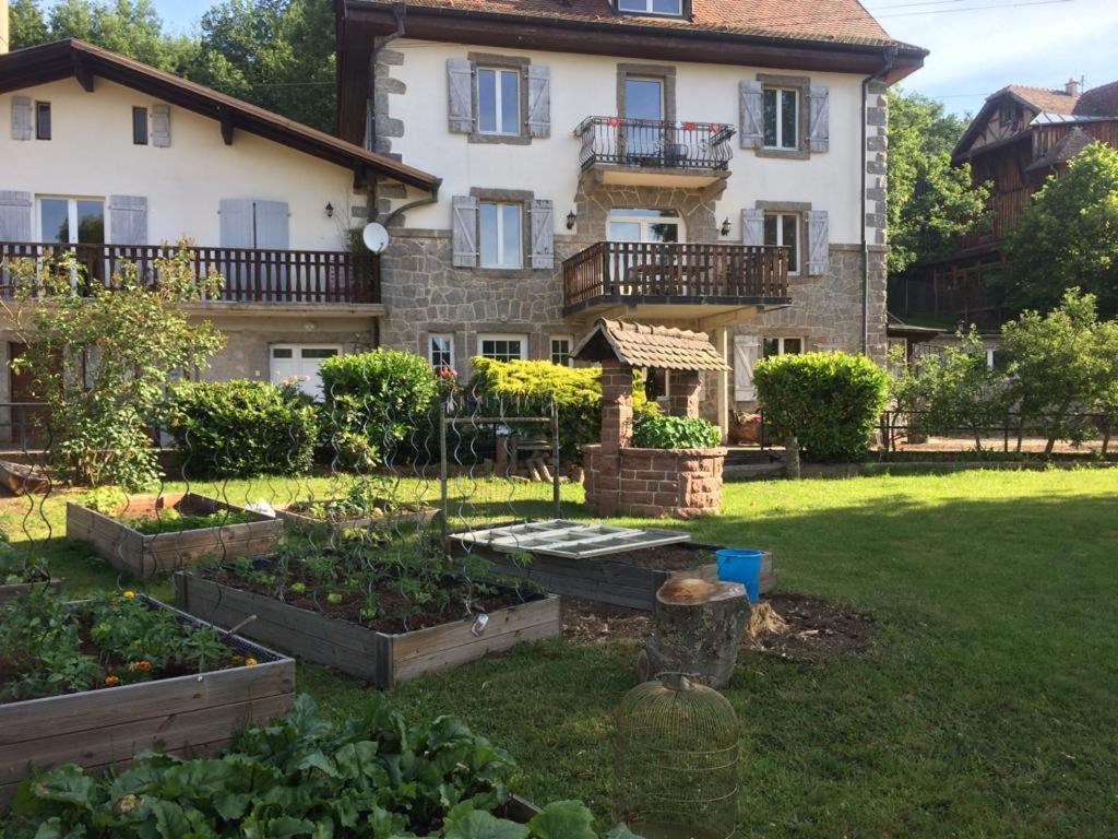 Aux Gites De L'Etang - Thannenkirch Bergheim Exterior foto
