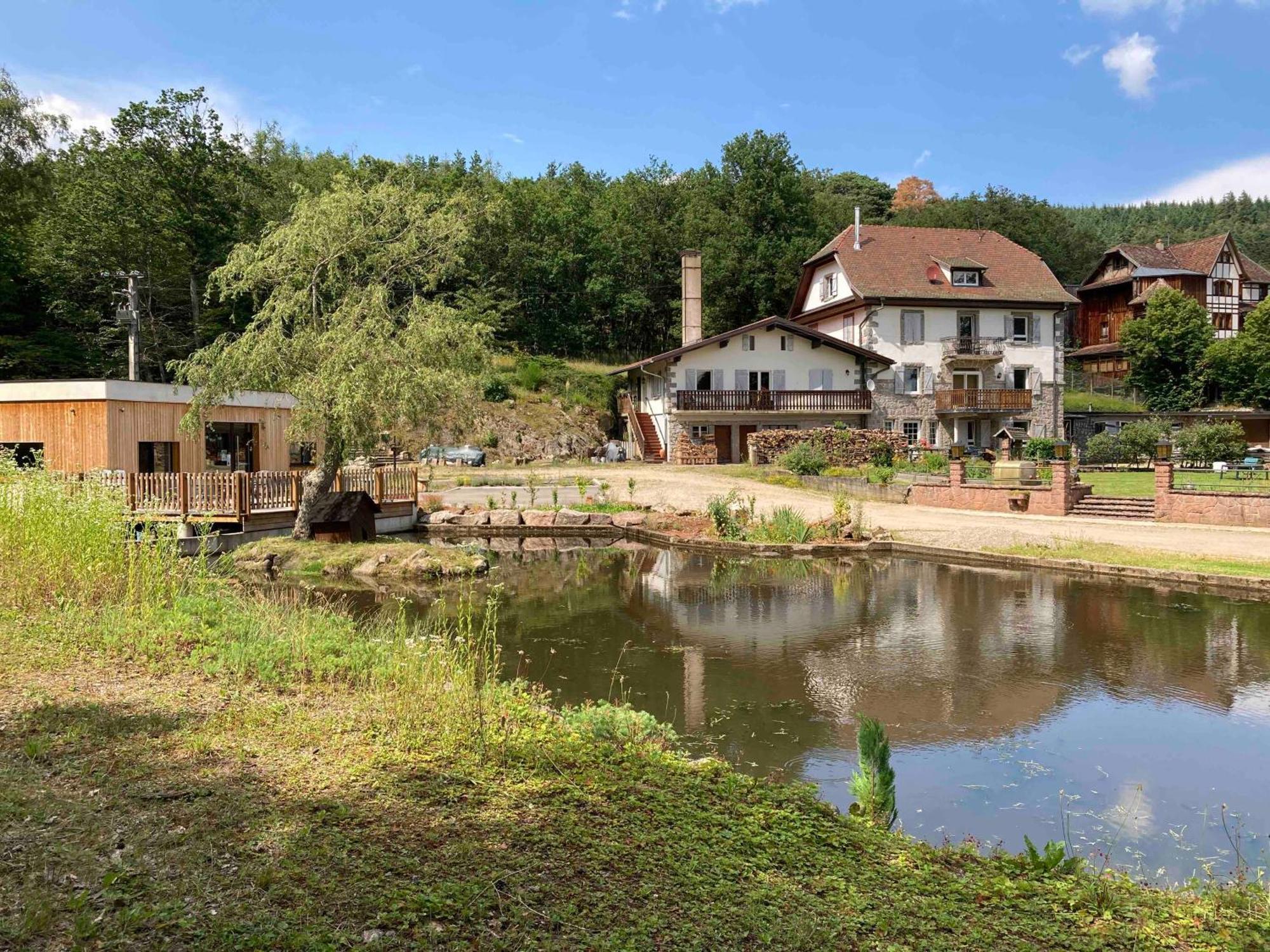 Aux Gites De L'Etang - Thannenkirch Bergheim Exterior foto