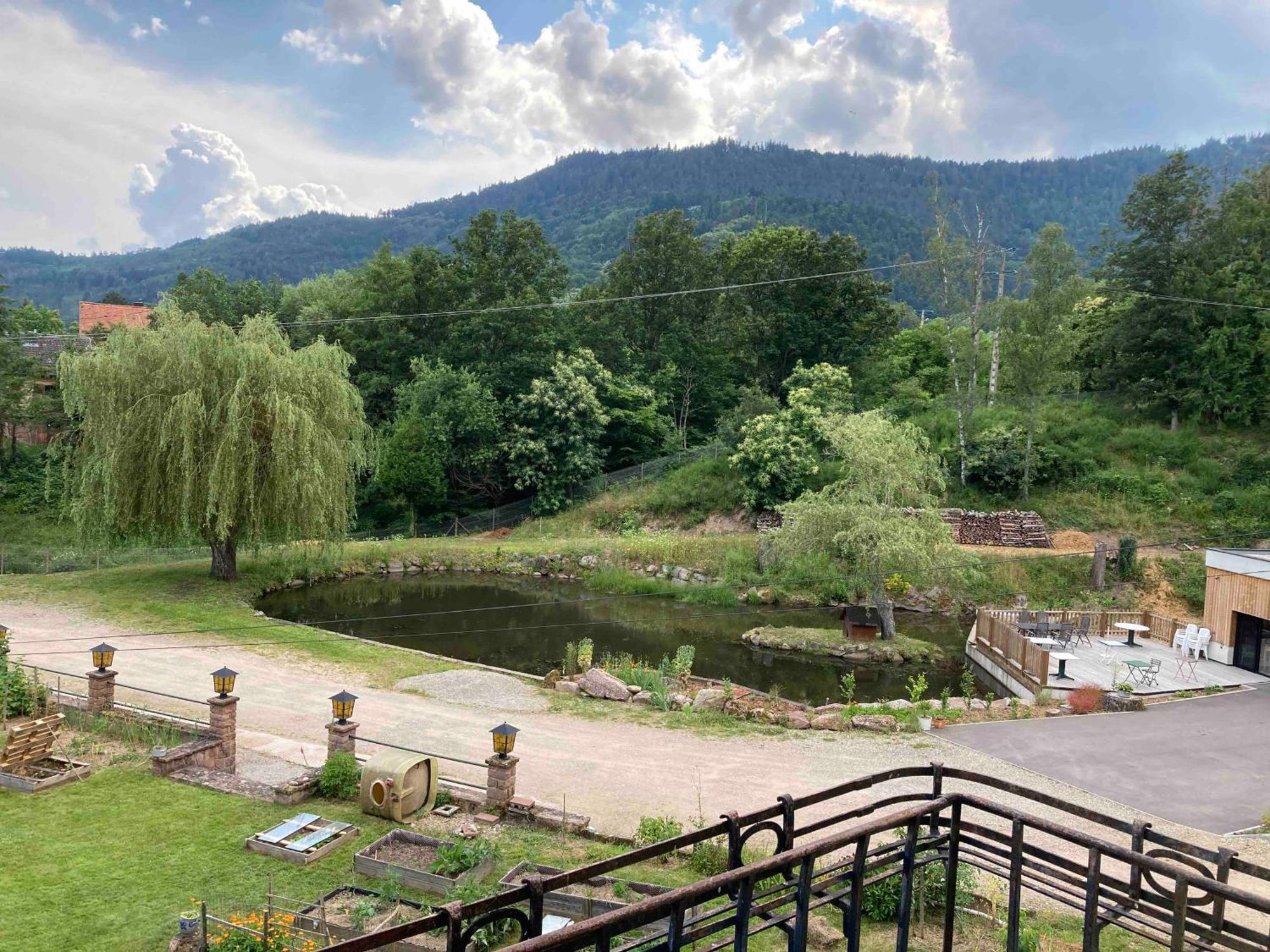 Aux Gites De L'Etang - Thannenkirch Bergheim Exterior foto